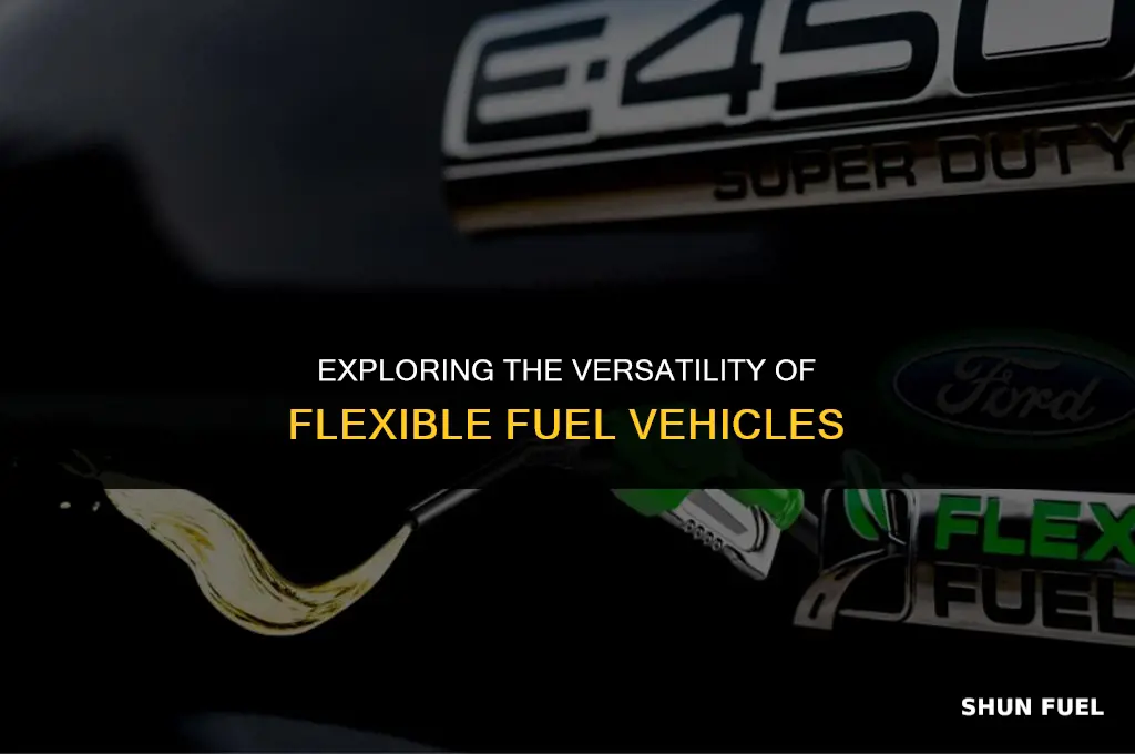 what means flexible fuel