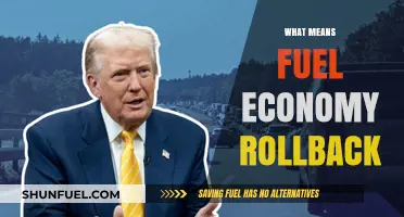 Decoding Fuel Economy Rollback: What It Means for Your Vehicle and Wallet