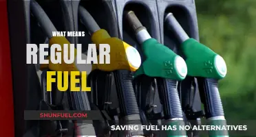 Understanding Regular Fuel: A Comprehensive Guide for Vehicle Owners