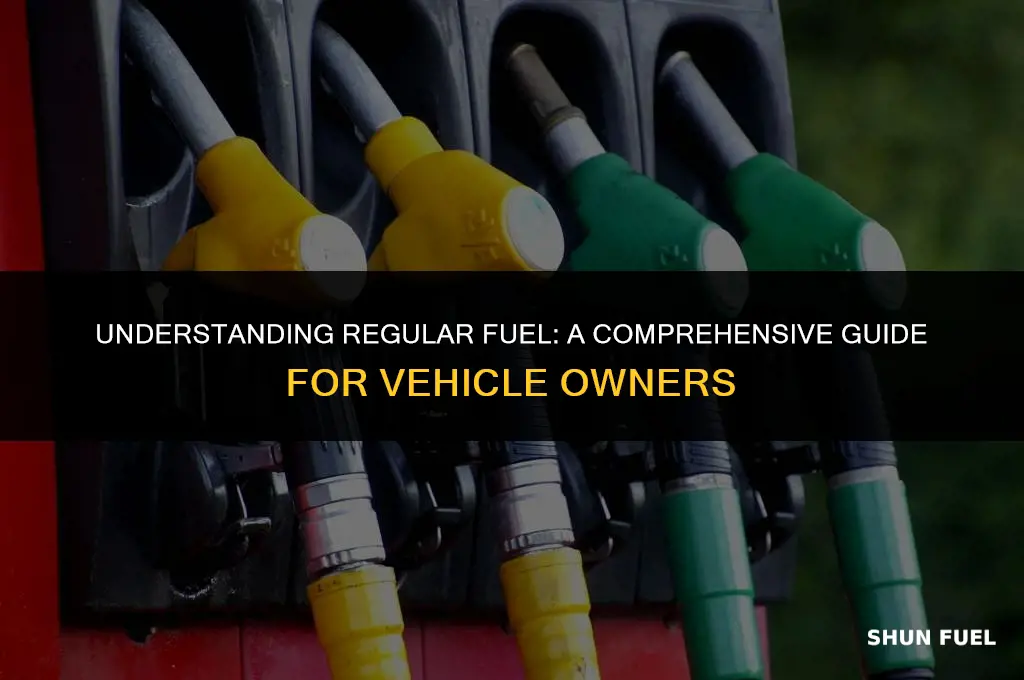 what means regular fuel
