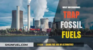 How Geological Processes Trap Fossil Fuels Underground: Key Mechanisms Explained