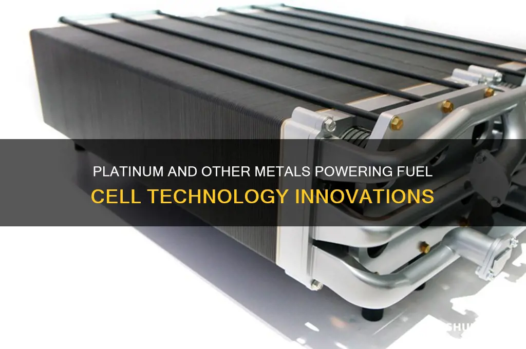what metal is used in fuel cells