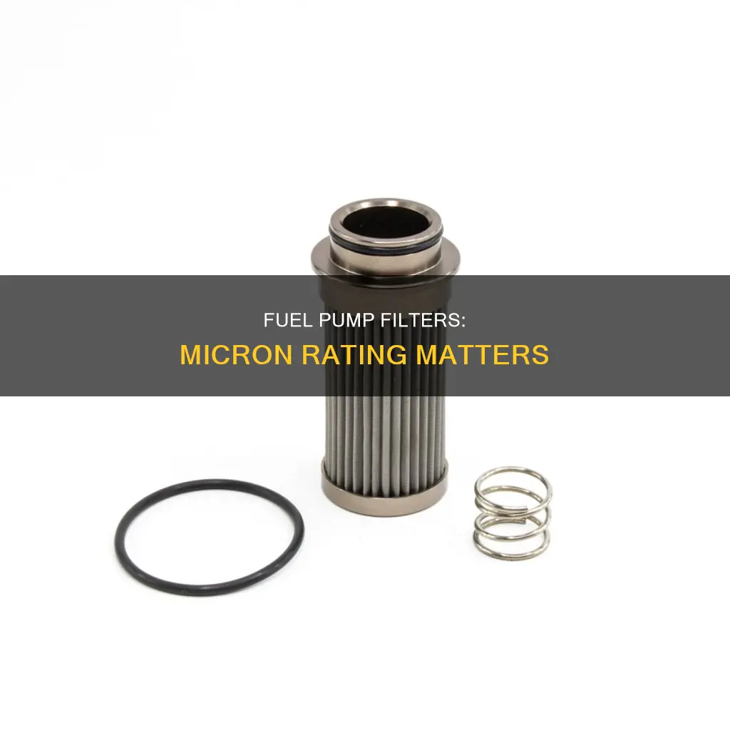 what micron filter before fuel pump