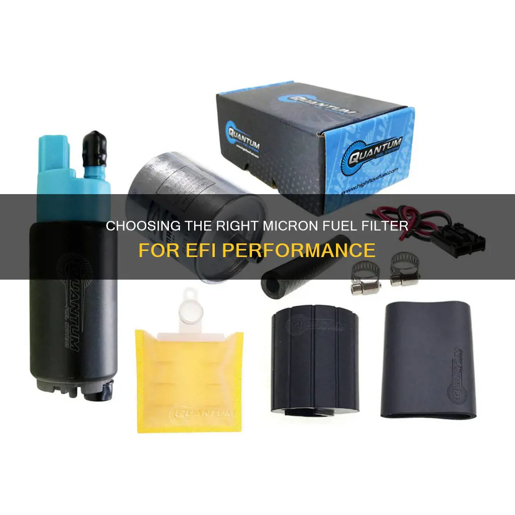 what micron fuel filter for efi