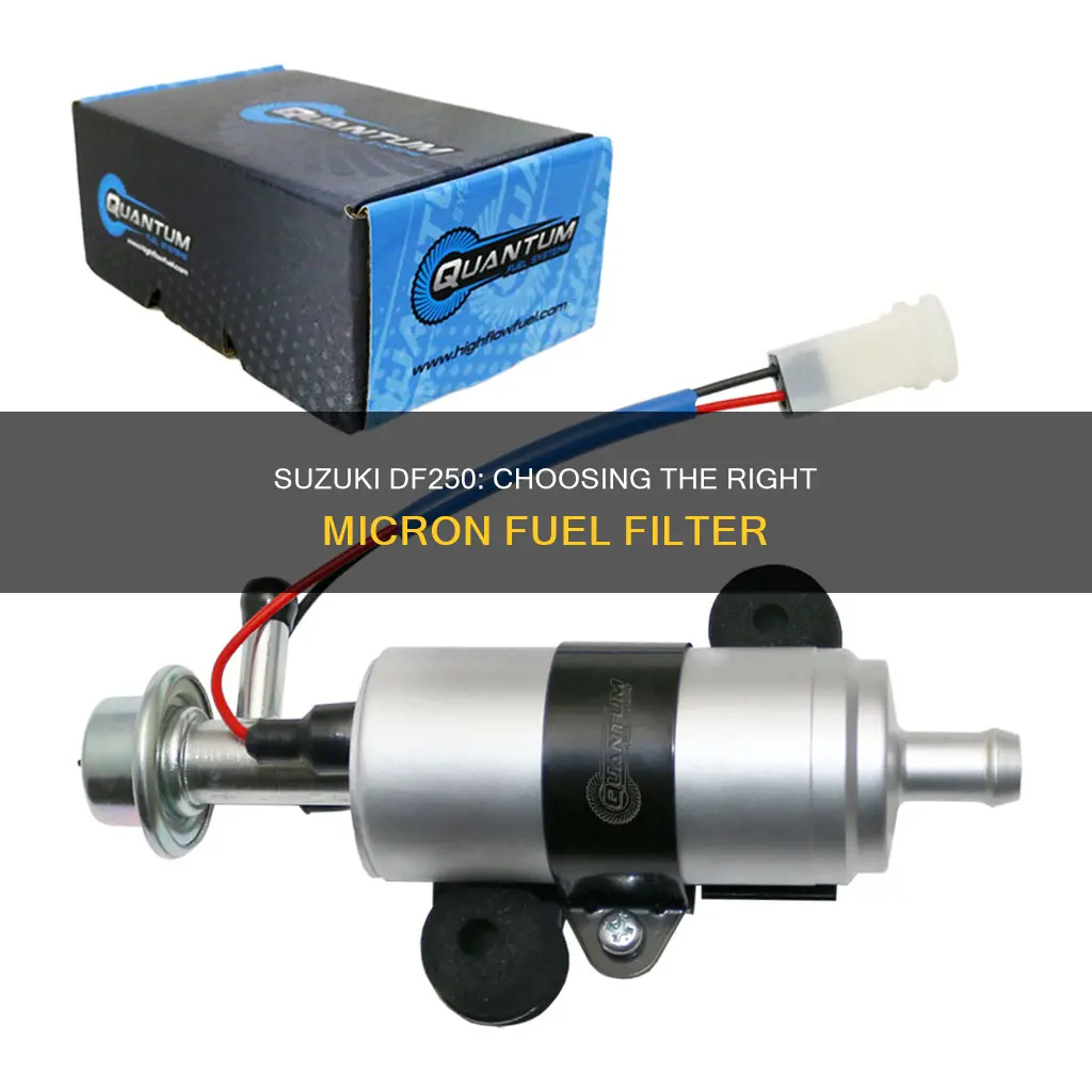 what micron fuel filter suzuki df250