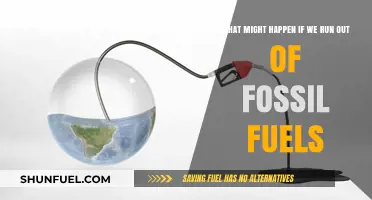 The Looming Crisis: Life After Fossil Fuels Are Depleted