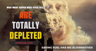 Life After Fossil Fuels: Exploring a Depleted World's Challenges and Opportunities