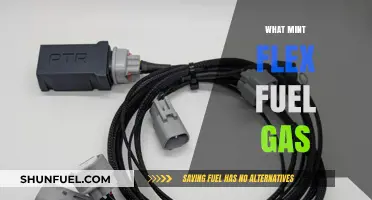 Exploring the Benefits of Mint Flex Fuel Gas for a Greener Future