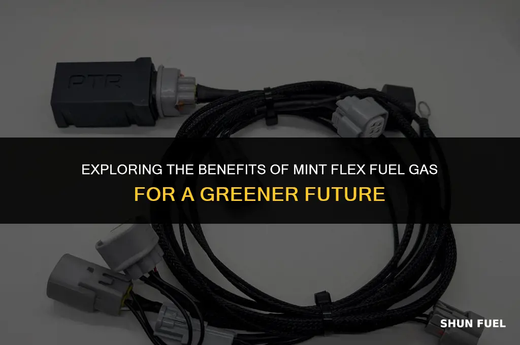 what mint flex fuel gas