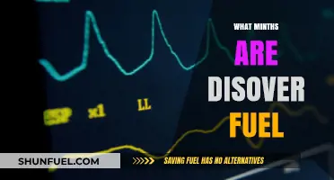 Unveiling the Mysteries: What Minds Discover Fuel