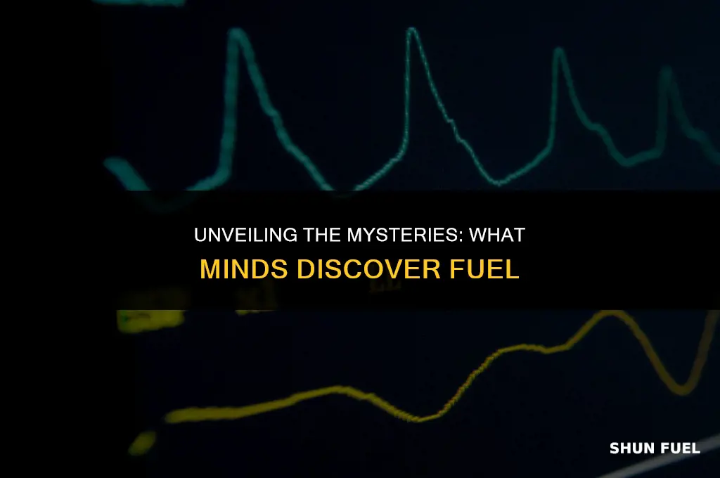 what minths are disover fuel