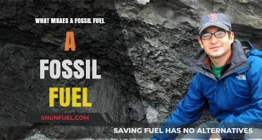 Understanding Fossil Fuels: Origins, Composition, and Defining Characteristics
