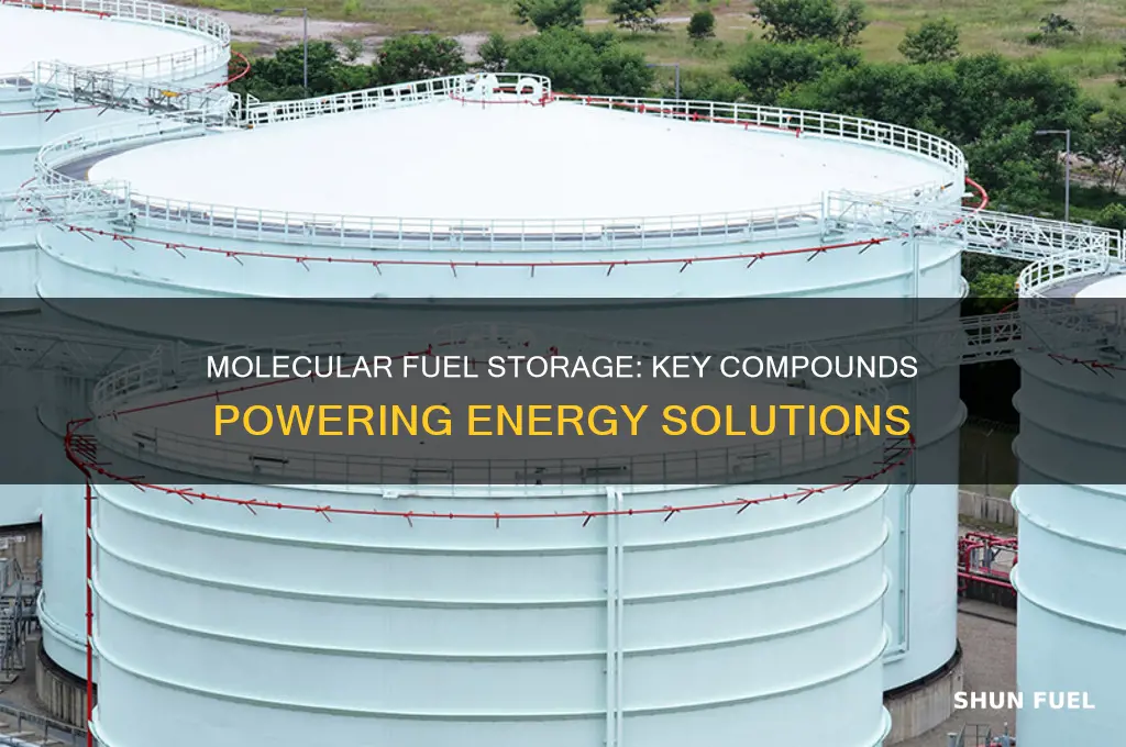 what molecule are used as fuel storage