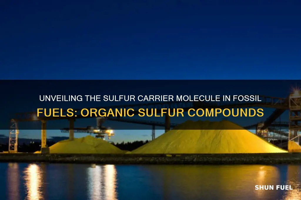 what molecule carries sulfur in fossil fuels