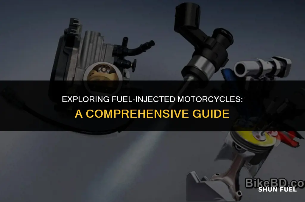 what motorcycles are fuel injected