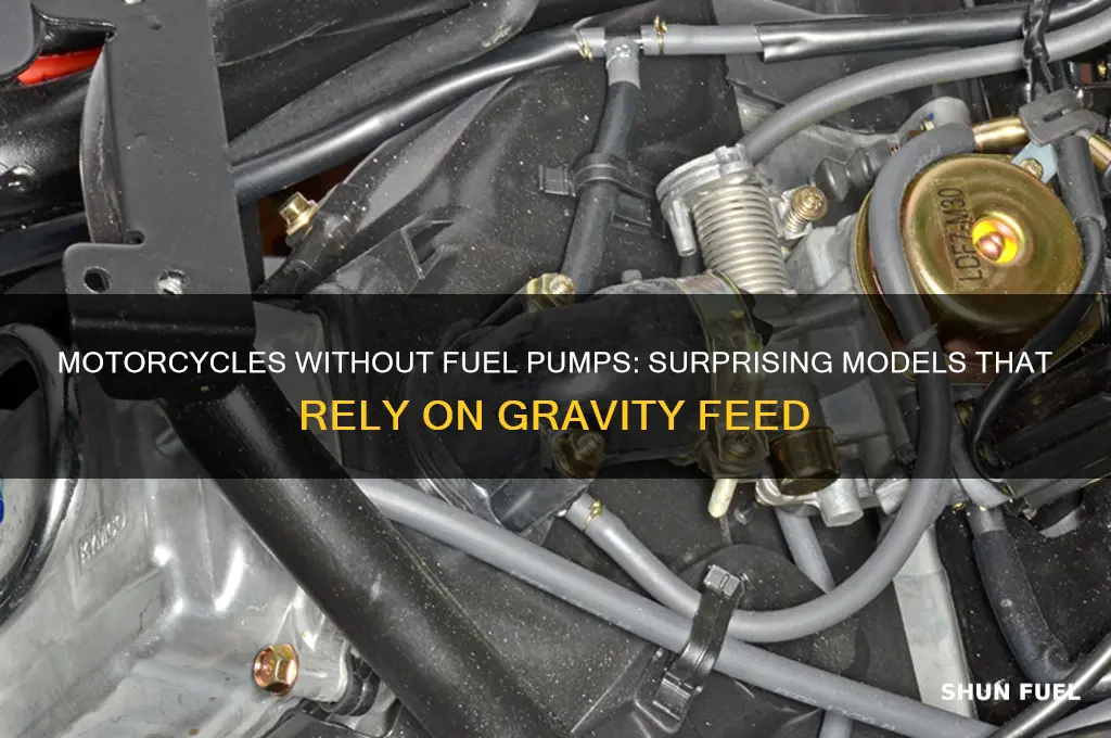 what motorcycles dont come with fuel pumps