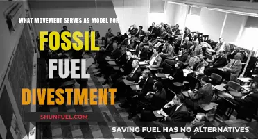How the Anti-Apartheid Movement Inspired Fossil Fuel Divestment Campaigns