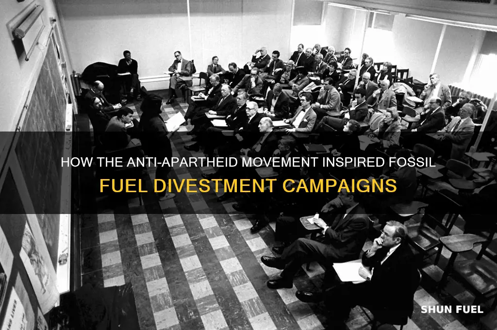 what movement serves as model for fossil fuel divestment