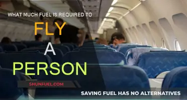 How Much Fuel Does it Take to Fly?