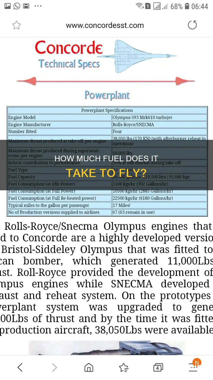 what much fuel is required to fly a person