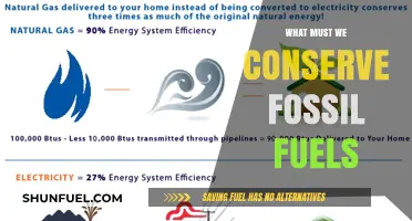 Why Conserving Fossil Fuels is Crucial for Our Sustainable Future