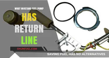 Mustang Fuel Pump: Return Line Essentiality Explored