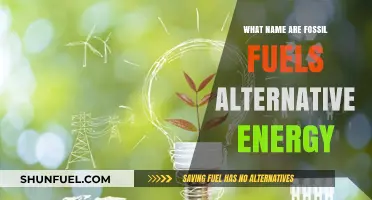 Exploring Fossil Fuel Alternatives: Clean Energy Sources for a Sustainable Future