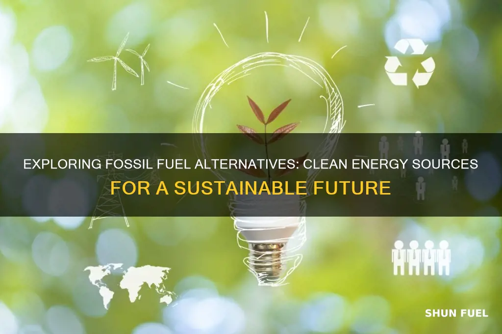 what name are fossil fuels alternative energy