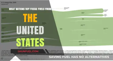 Which Countries Import U.S. Fossil Fuels: A Comprehensive Analysis
