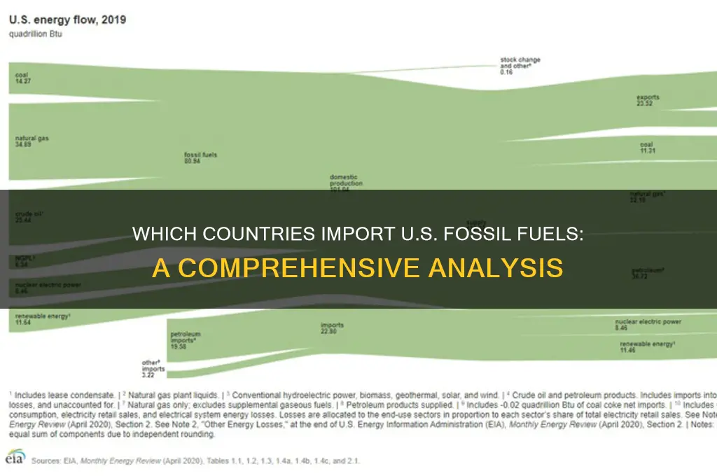what nations buy fossil fuels from the united states