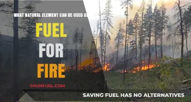 Nature's Fiery Gifts: Exploring Natural Elements as Fire Fuel Sources