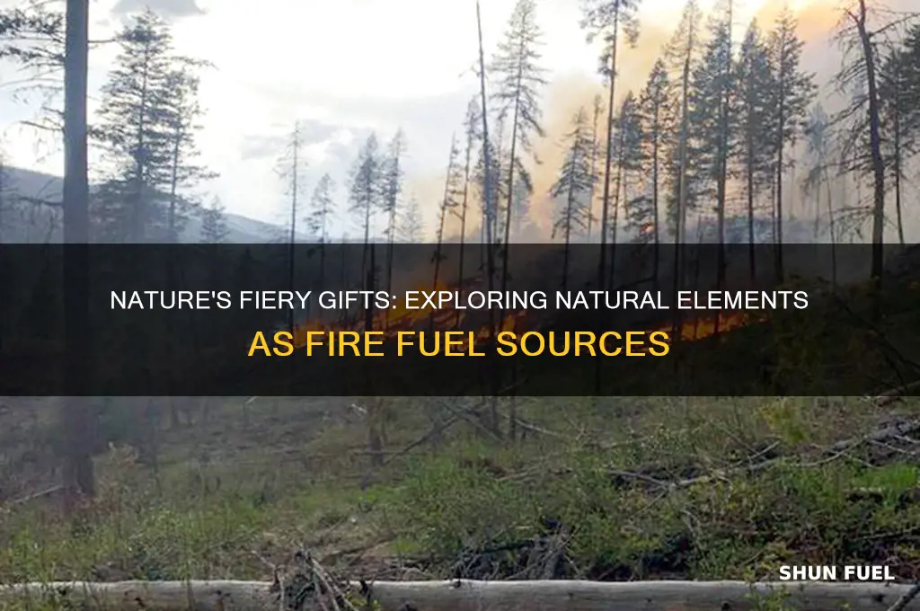 what natural element can be used as fuel for fire
