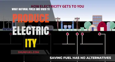Exploring Natural Fuels Powering Electricity Generation: Sustainable Energy Sources