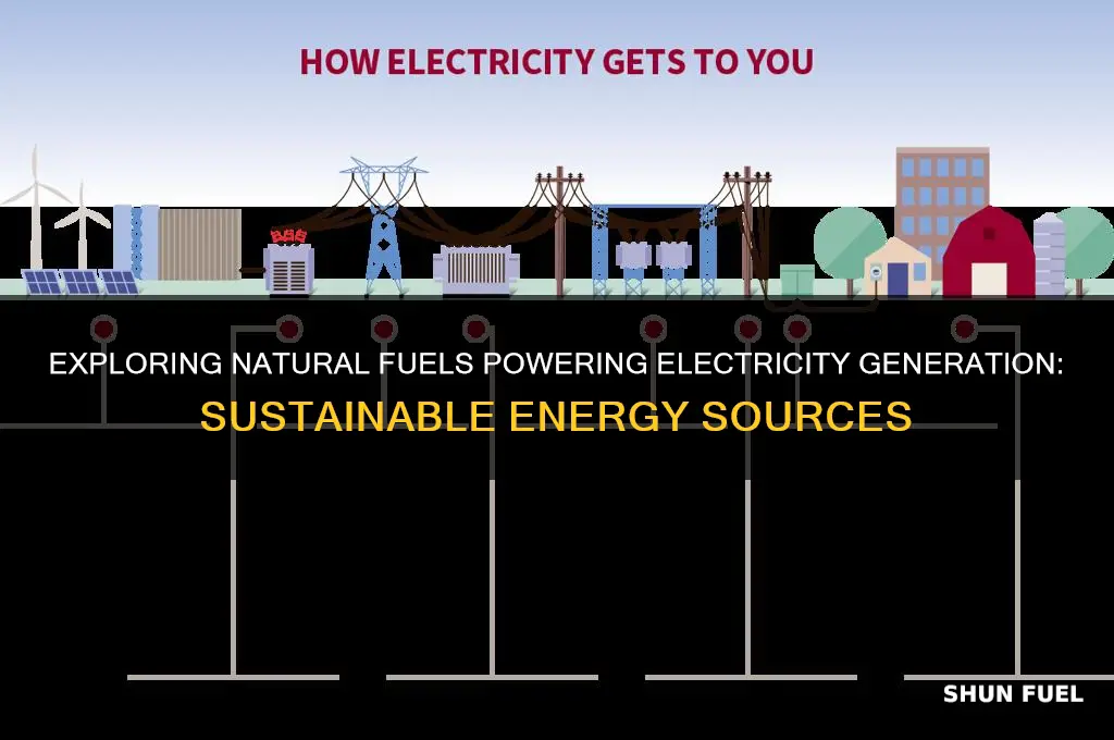 what natural fuels are used to produce electric ity