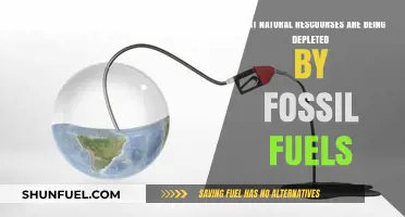Fossil Fuels' Impact: Depleting Natural Resources and Our Planet's Future