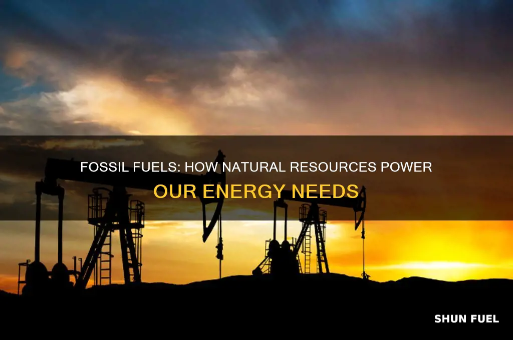 what natural resource is used to make fuels