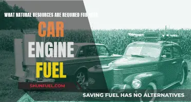 The Engine's Appetite: Natural Resources for Car Fuel