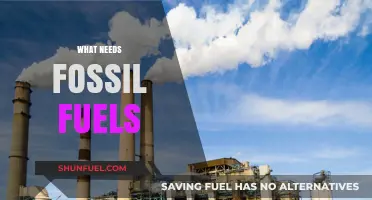Essential Industries and Daily Life: What Still Relies on Fossil Fuels?
