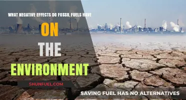 Fossil Fuels' Devastating Environmental Impact: Pollution, Climate Change, and Destruction