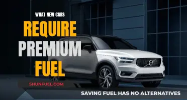 Premium Fuel: Which New Cars Need It?