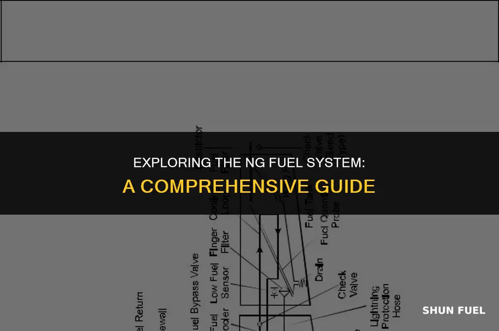 what ng fuel system