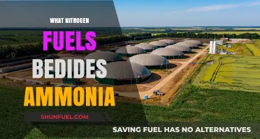 Exploring Alternative Nitrogen Fuels: Beyond Ammonia's Reach