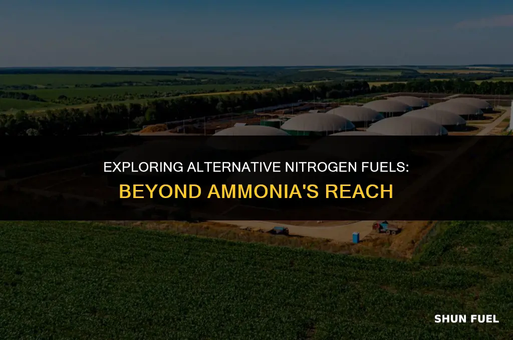 what nitrogen fuels bedides ammonia