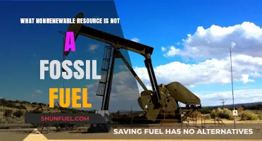 Beyond Fossil Fuels: Exploring Nonrenewable Resources Like Uranium and Minerals