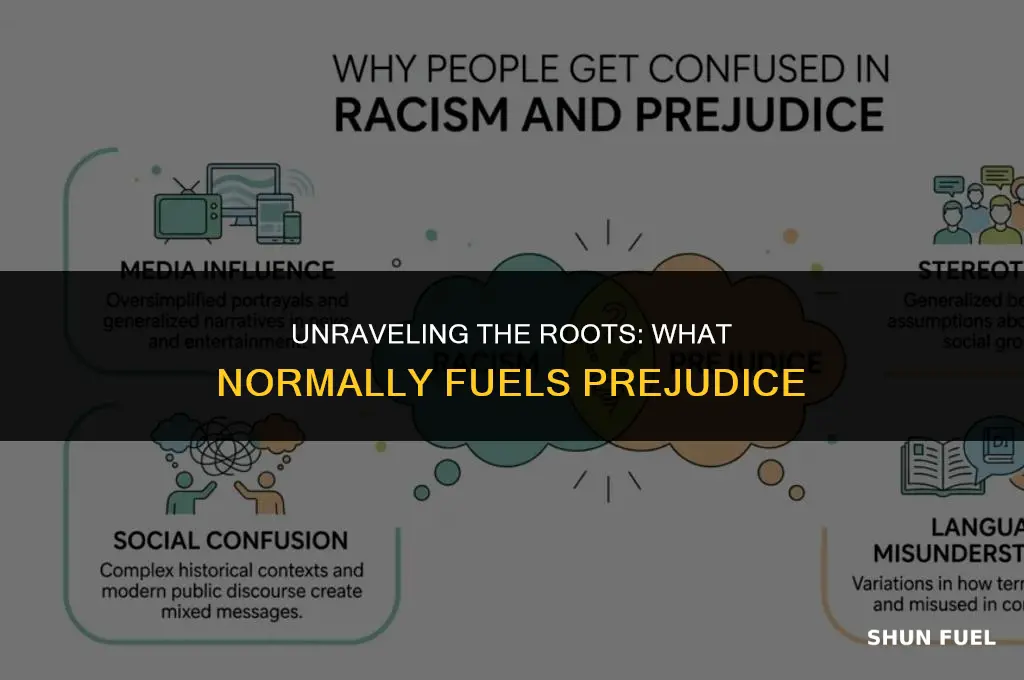 what normally fuels prejudice