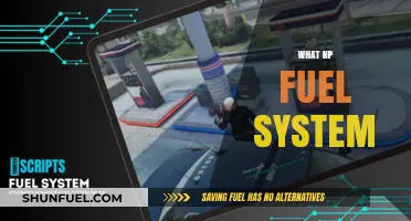 Exploring the Mysteries of NP Fuel Systems: A Comprehensive Guide