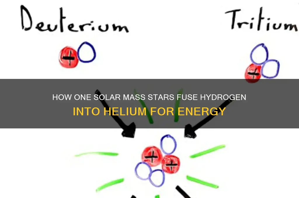 what nuclear fuels does a one solar mass star use
