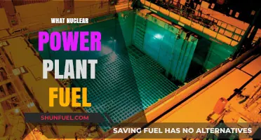 Exploring the Core: What Fuels Nuclear Power Plants?