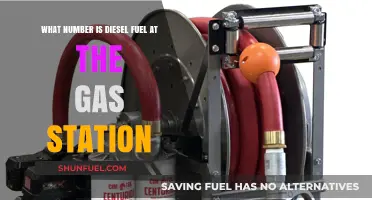 Diesel Fuel: Which Pump Number at the Gas Station?