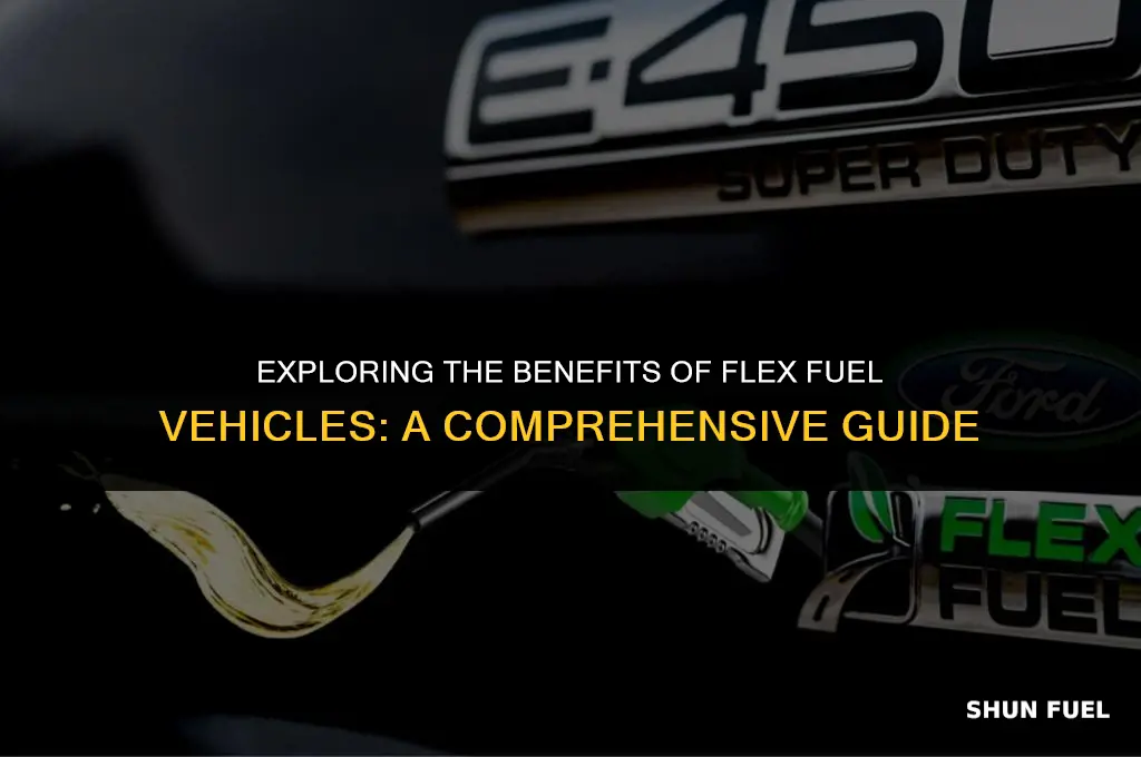what number is flex fuel